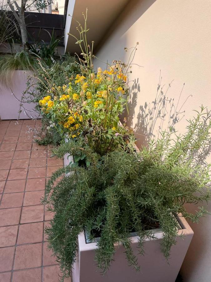 Ferienwohnung La Terrazza Sull'Arena Verona Exterior foto